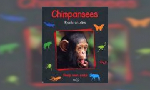 Plaatje Chimpansees : speels en slim