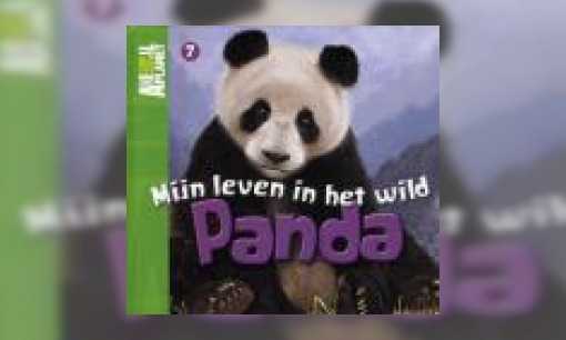 Plaatje Panda