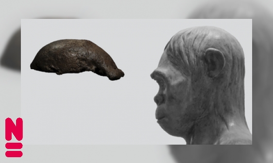 Piet: een historisch beeld van onze vroege voorouder