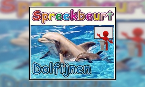 Spreekbeurt Dolfijnen
