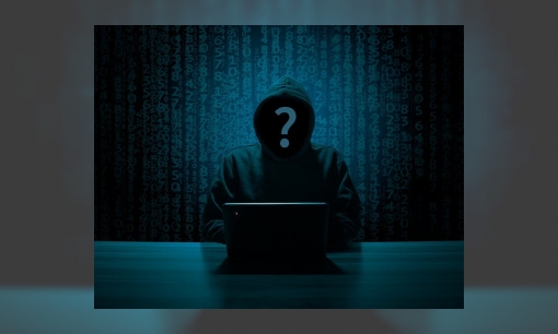Wellke soorten cybercrime zijn er?