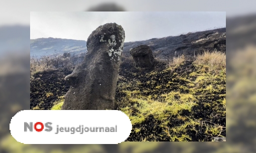 Plaatje Brand op Paaseiland verwoest beroemde beelden