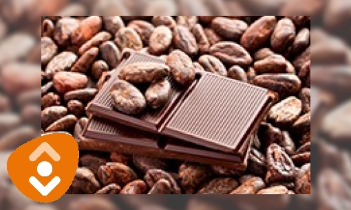 Cacao en chocola