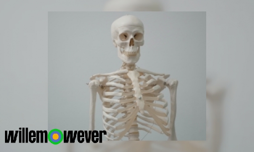 Hoeveel botten heeft een mens?