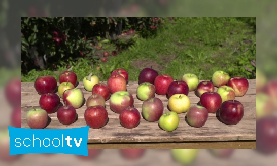 Hoe worden nieuwe appelsoorten gemaakt?
