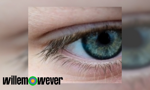 Hoe werkt de iris in je oog?