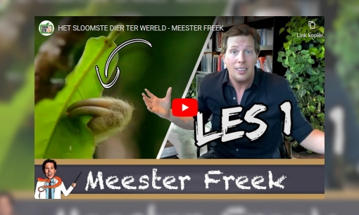 Meester Freek!