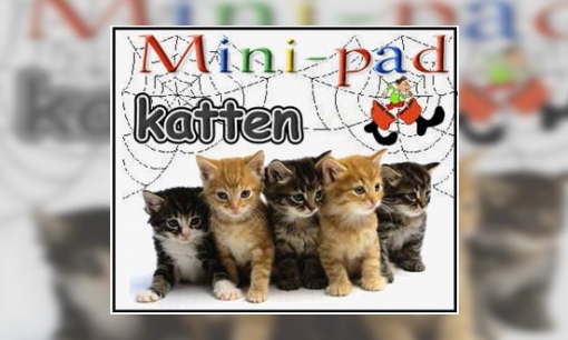 Mini-pad katten