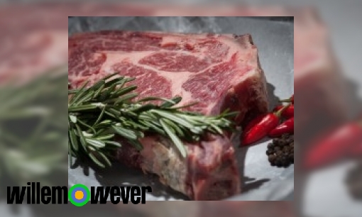 Waarom is rauw vlees gevaarlijk?