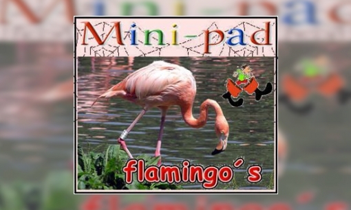 Mini-pad flamingo