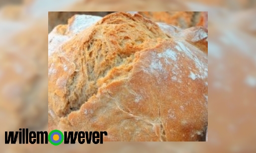 Wat gebeurt er als je brood met schimmel opeet?