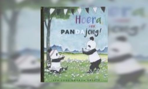 Plaatje Hoera, een pandajong!