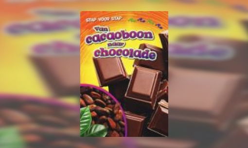 Plaatje Van cacaoboon naar chocola