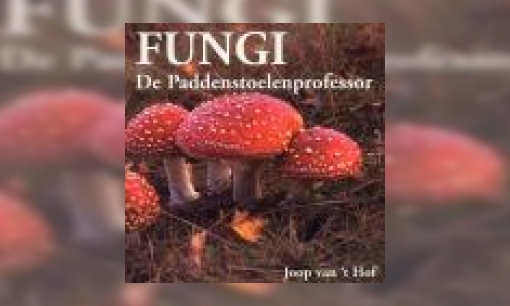 Plaatje Fungi, de paddenstoelenprofessor