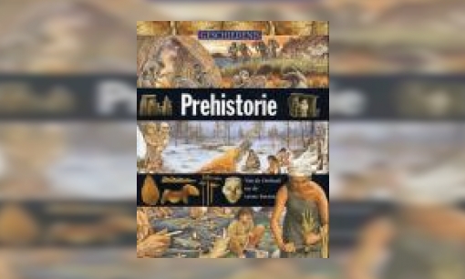 Plaatje Prehistorie