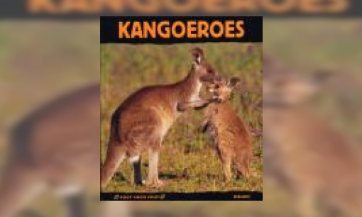 Plaatje Kangoeroes