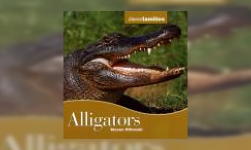 Plaatje Alligators