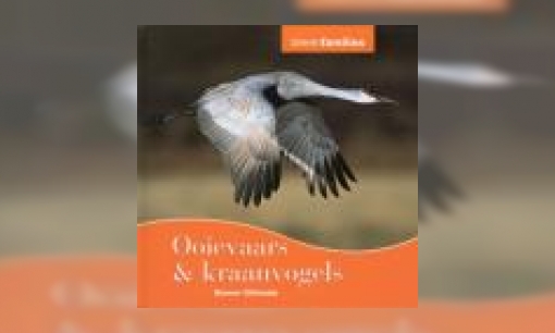 Plaatje Ooievaars & kraanvogels
