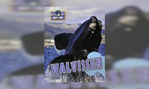 Plaatje Walvissen