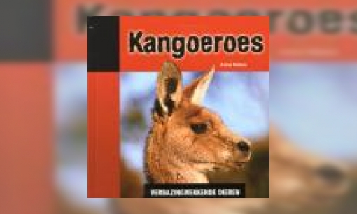 Plaatje Kangoeroes