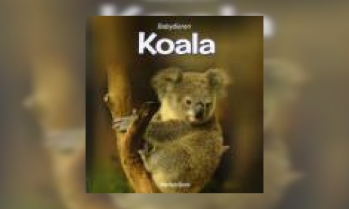 Plaatje Koala