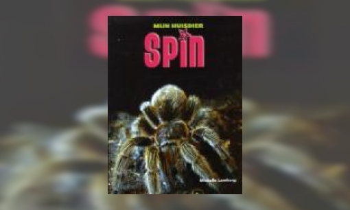Plaatje Spin