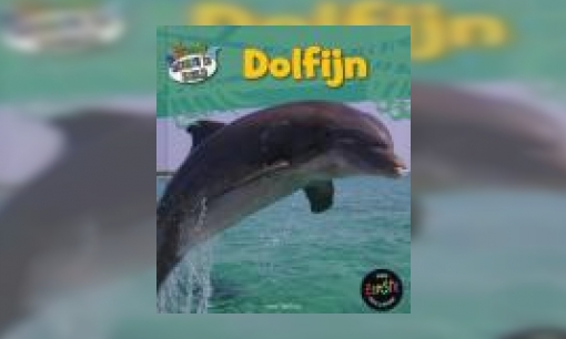 Plaatje Dolfijn