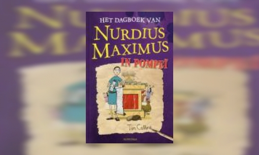 Plaatje Het dagboek van Nurdius Maximus in Pompeï