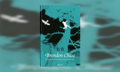 Plaatje Brendon Chase