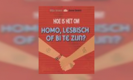 Plaatje Hoe is het om homo, lesbisch of bi te zijn?