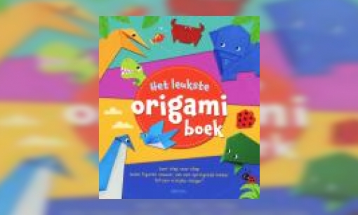 Plaatje Het leukste origamiboek