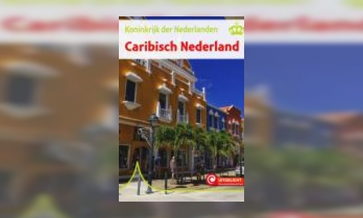 Plaatje Caribisch Nederland