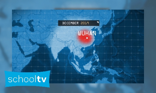 Plaatje Hoe ging het coronavirus de wereld over?