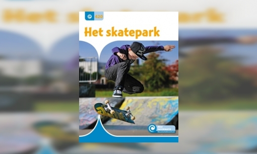 Plaatje Het skatepark
