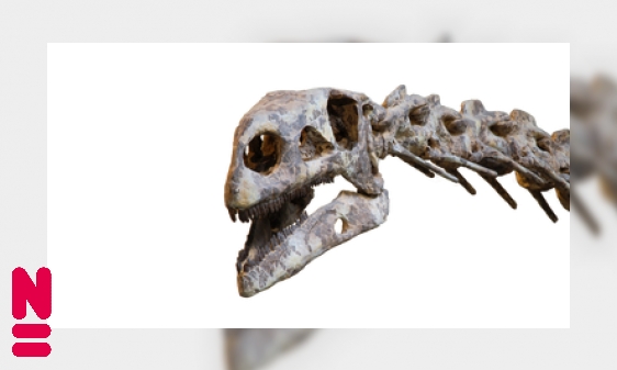 Plaatje Plateosaurus: de reus van het Trias
