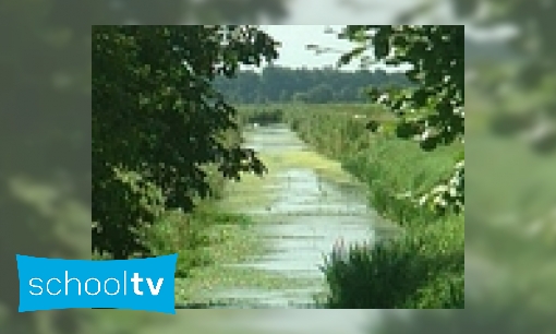 Landschap hoogveen