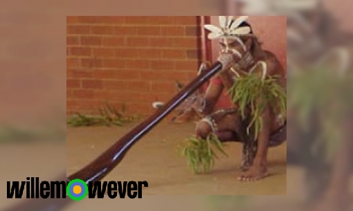 Plaatje Waarom spelen Aboriginals op een didgeridoo en hoe wordt een didgeridoo gemaakt?