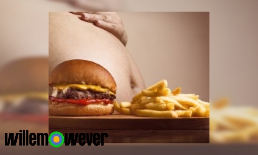 Plaatje Hoe komt het dat sommige mensen dik zijn maar gewoon normaal eten?