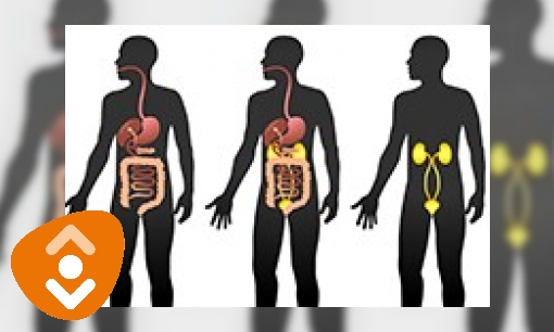 Plaatje Spijsvertering