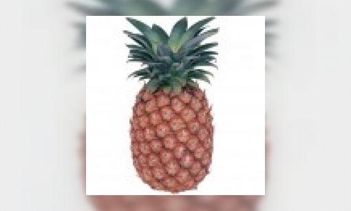 Ananas