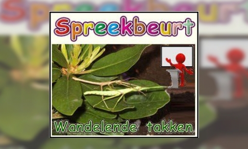 Plaatje Spreekbeurt Wandelende takken