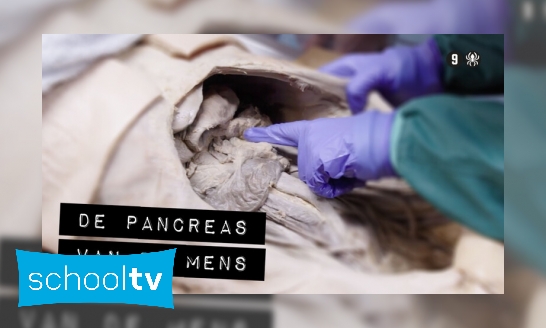 Plaatje De pancreas van een mens