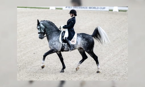 EK Paardensport dressuur 2023