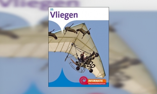 Vliegen