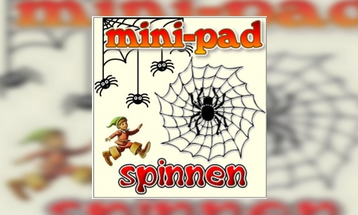 Mini-pad spinnen