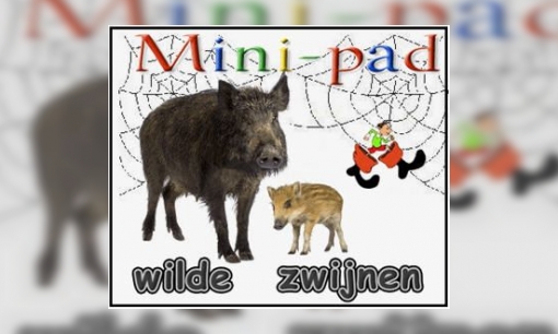 Mini-pad wilde zwijnen