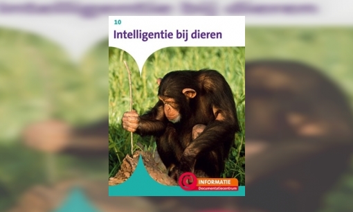 Intelligentie bij dieren