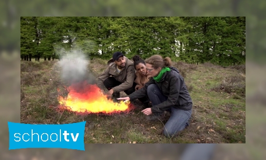 Plaatje Hoe ontstaan natuurbranden?