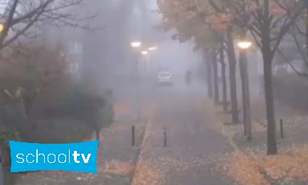 Plaatje Mist is een wolk die te zwaar is geworden - Is het snugger of kletspraat?