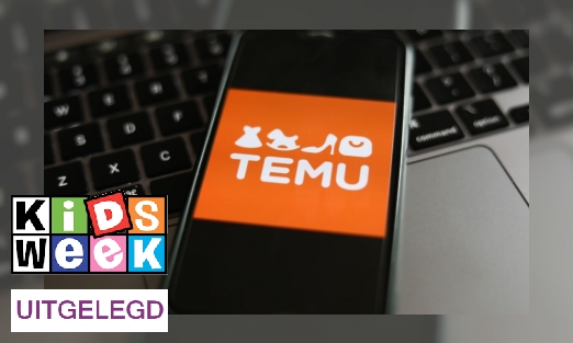 Plaatje Hoe werkt de app Temu?